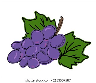 Grapevine bunch isolated on white background. Flat vector illustration, hand drawn or doodle style.