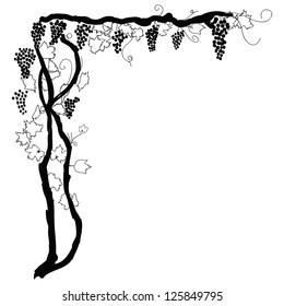 grapevine corner as background element