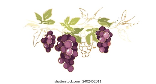 Grapevine with golden brush strokes. Vector illustration, design elements with a branch vine with leaves and purple berries.