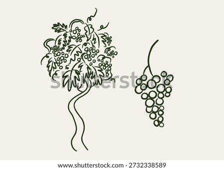 Grapevine and grapes drawing. Hand drawn vector illustration of grape plant on isolated white background. For print, label, poster, brochure, template, banner, logo. Sketch of vine imitation ink