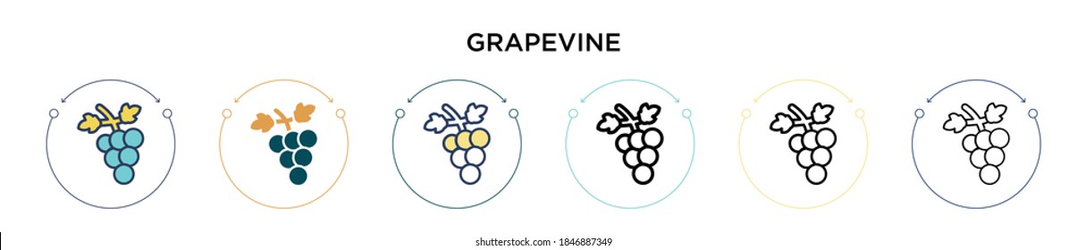 Grapevine icon in filled, thin line, outline and stroke style. Vector illustration of two colored and black grapevine vector icons designs can be used for mobile, ui, web