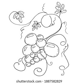 Grapevine icon. Vector grapes. Hand drawn.