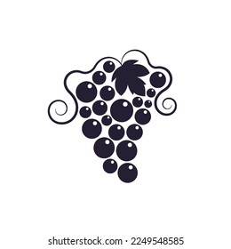 Grapevine with leaf. Grapes icon. Grape vector illustration on white background.