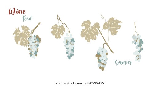 Grapevine leaves and red grape bunches in flat style design.