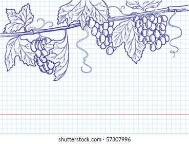 Grapevine line art frame