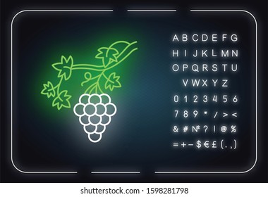 Grapevine neon light icon. Brush of grapes on branch. Viticulture, winemaking. Symbol of wealth, abundance and fertility. Glowing sign with alphabet, numbers and symbols. Vector isolated illustration