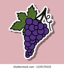 Grapevine sticker. Colorful vector illustration. Flat style grape element. Isolated icon.