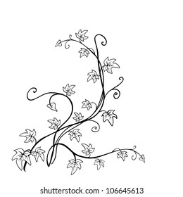 grapevine (vector)