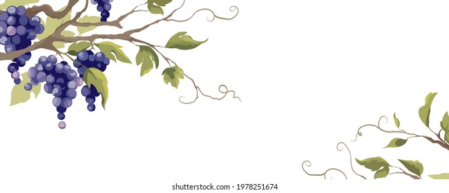 Grapevine - vector background. Banner with a twisting vine with leaves and berries. Freehand drawing in watercolor style.	