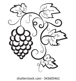 Grapevine. Vector illustration.