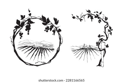 Grapevine - vector illustration. Design elements with a twisting vine with leaves and berries. Freehand drawing, frame with vine.	