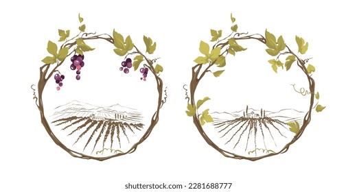 Grapevine - vector illustration. Design elements with a twisting vine with leaves and black berries. Freehand drawing in watercolor style. Frame with vine.	
