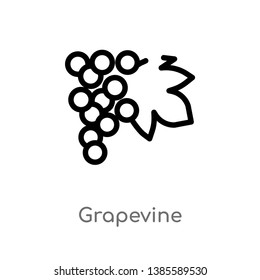 grapevine vector line icon. Simple element illustration. grapevine outline icon from nature concept. Can be used for web and mobile