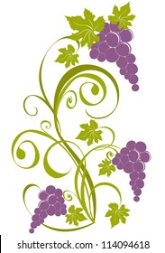 Grapevine. Vector wine design elements
