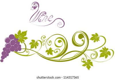 Grapevine. Vector wine design elements