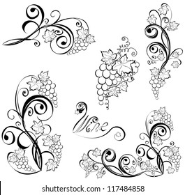 Grapevine. Vector wine design elements.