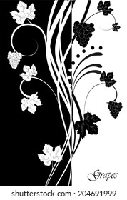 Grapevine. Vector wine design elements.  