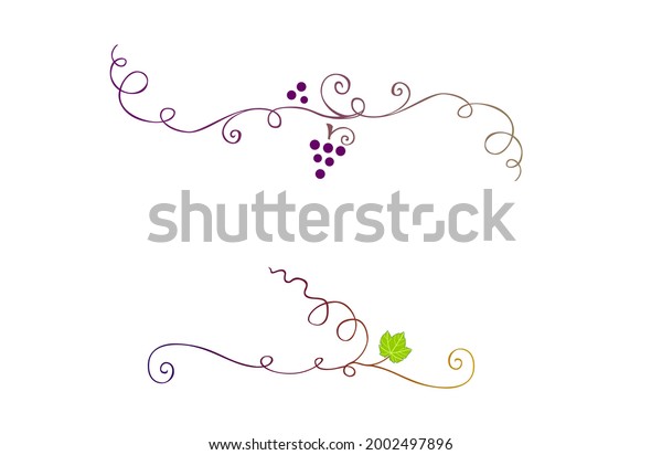 Grapevines decorations.\
Floral text dividers. Winerie adornments. Decorative vines.\
Vineyard ornaments. Swirl plants border. Viticulture decor. Vine\
leaf and purple\
grapes.