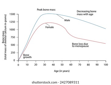 Graph Between Age and Bone Mass, Bone density peaks at about 30 years of age