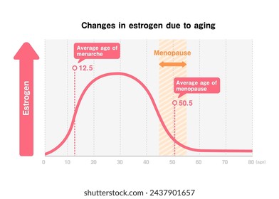 Graph der Veränderungen der weiblichen Hormone (Östrogen) aufgrund des Alterns