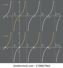 Graph of the function tangent on a gray
 background. Graphic presentation for math teachers.