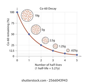 Graph of half life and radioactive decay curve in physics