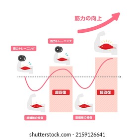 Graph Illustration Of Efficient Muscle Growth (supercompensation Mechanism) | Japanese. Translation: Training, Muscle Hypertrophy, Fatigue, Super-compensation.