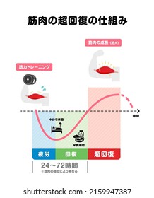 Graph Illustration Of Efficient Muscle Growth (supercompensation Mechanism) | Japanese. Translation: Training, Muscle Hypertrophy, Fatigue, Recovery, Super-compensation, Rest, Nutrition, 24-72 Hours. 