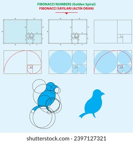 Graph paper with golden ratio. Bird logo. It was made according to the principles of the golden ratio.