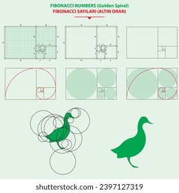 Graph paper with golden ratio. Duck logo. It was made according to the principles of the golden ratio.