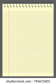 graph paper  or  lined graph paper a4 vector illustration
