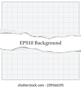 Graph paper with torn middle and place for an inscription