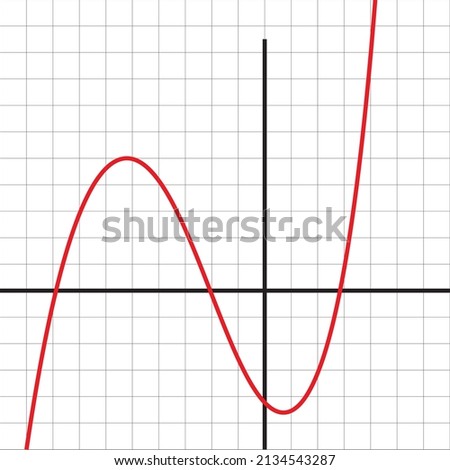 THE GRAPH OF POLYNOMIAL FUNCTION OF DEGREE 3 VECTOR ILLUSTRATION DESIGN FOR MATH 