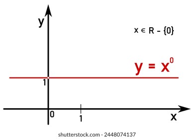 The graph of a power function with a zero power
