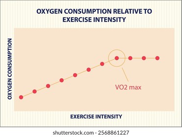 Graph showing oxygen consumption during exercise intensity