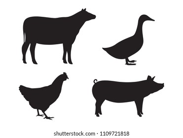 graphic animal, vector