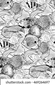 Graphic aquarium fish. Fresh water creatures. Vector seamless pattern. Coloring book page design for adults and kids