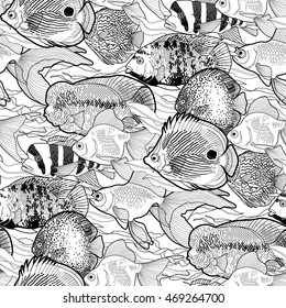 Graphic aquarium fish. Fresh water creatures. Vector seamless pattern. Coloring book page design for adults and kids