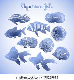 Graphic aquarium isolated fish in blue colors. Fresh water creatures.