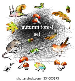 Graphic autumn forest set