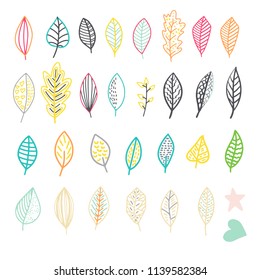graphic autumn skeleton leaf