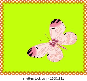 Graphic background with butterfly