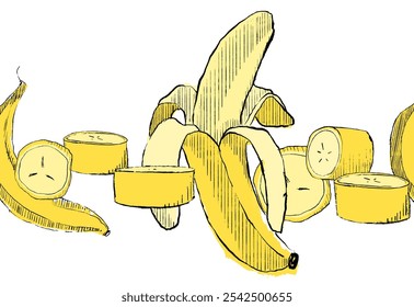 Padrão de borda sem costura banana gráfica isolado no branco. Ilustração vetorial