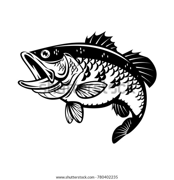 Graphic Bass Fish Vector Stock Vector (Royalty Free) 780402235