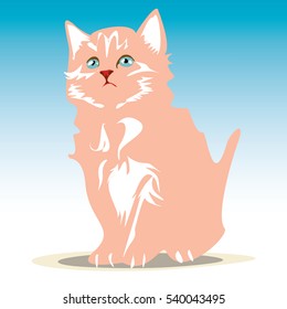  graphic beautiful cat vector