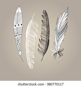 Graphic beautiful set of bird feathers on a brown background. Vector illustration for design.