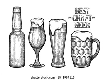 Graphic beer in the bottle and glasses of three different shapes. Vintage vector illustration of alcoholic beverages drawn in engraving technique. Coloring book page