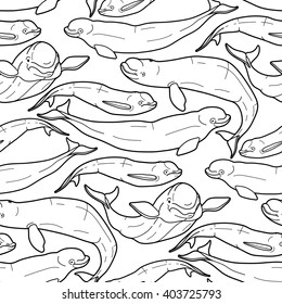 Graphic beluga whale seamless pattern. Sea creature on white background.  Vector ocean mammal. Coloring book page design for adults and kids