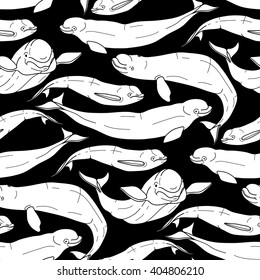 Graphic beluga whale seamless pattern. Sea creature on black background.  Vector ocean mammal. Coloring book page design for adults and kids