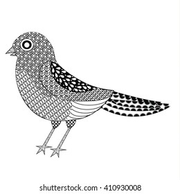 Graphic bird vector illustration, coloring page